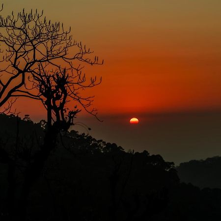 Stayvista At Sunset Springs With Pool & Views Nainital Exterior foto